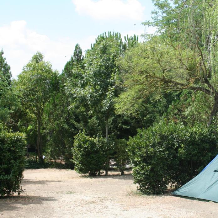A blue tent set up in a lush, green campsite.