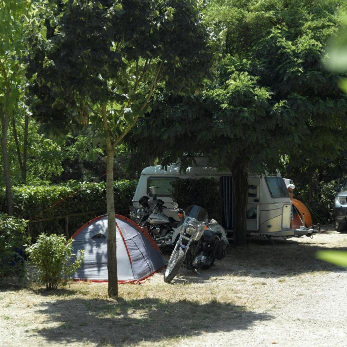 Camping avec tente, motos, caravane et voiture sous les arbres.